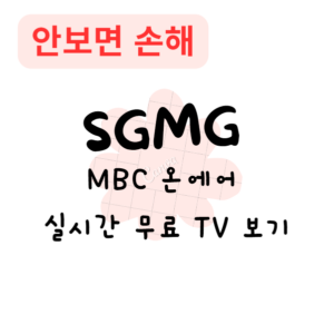 MBC 온에어 실시간 무료 TV 보기(안보면 손해) MBC 온에어 실시간 무료 TV 보기(안보면 손해)