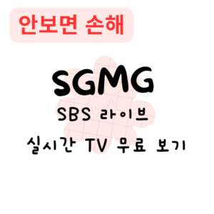 SBS 라이브 실시간 TV 무료 보기(안보면 손해)