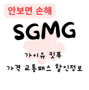가이유 킷푸 가격 교통패스 할인정보(안보면 손해)