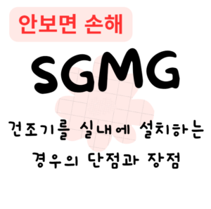 건조기를 실내에 설치하는 경우의 단점과 장점(안보면 손해)