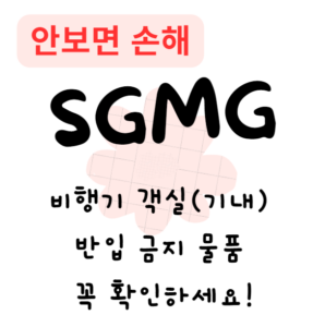 비행기 객실(기내) 반입 금지 물품, 꼭 확인하세요!