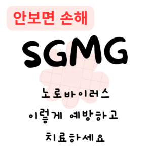 노로바이러스, 이렇게 예방하고 치료하세요(안보면 손해)