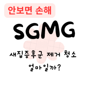 새집증후군 제거 청소, 얼마일까?(안보면 손해)
