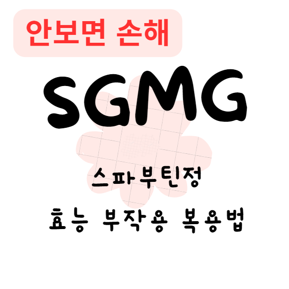 스파부틴정 효능 부작용 복용법(안보면 손해)