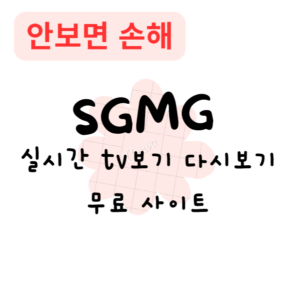 무료 실시간 TV보기 다시보기 사이트(안보면 손해) 무료 실시간 TV보기 다시보기 사이트(안보면 손해)
