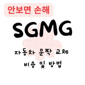 자동차 문짝 교체 비용 및 방법(안보면 손해)