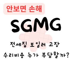 전세집 보일러 고장, 수리비용 누가 부담할까?(안보면 손해)