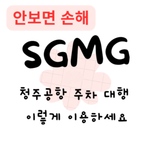청주공항 주차 대행, 이렇게 이용하세요(안보면 손해)