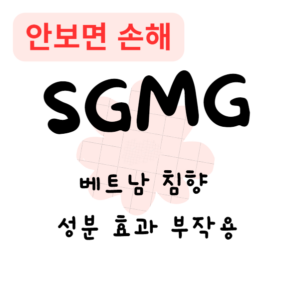 베트남 침향 성분 효과 부작용(안보면 손해) 베트남 침향 성분 효과 부작용(안보면 손해)