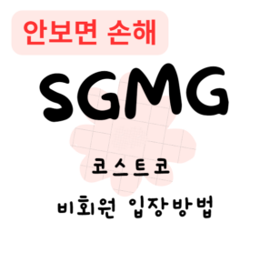 코스트코 비회원 입장방법(안보면 손해)