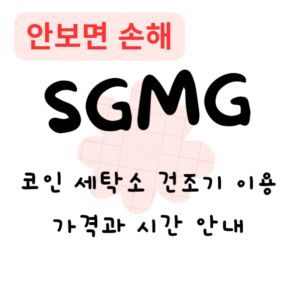 코인 세탁소 건조기 이용 가격과 시간 안내(안보면 손해) 코인 세탁소 건조기 이용 가격과 시간 안내(안보면 손해)