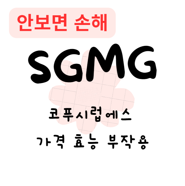 코푸시럽에스 가격 효능 부작용(안보면 손해)