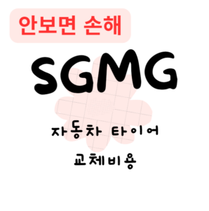 자동차 타이어 교체비용(안보면 손해) 자동차 타이어 교체비용(안보면 손해)