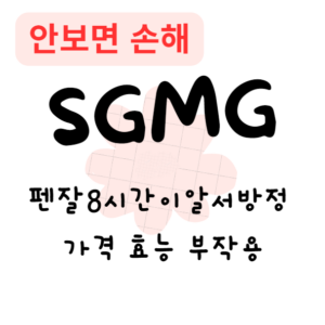 펜잘이알서방정 가격 효능 부작용(안보면 손해)