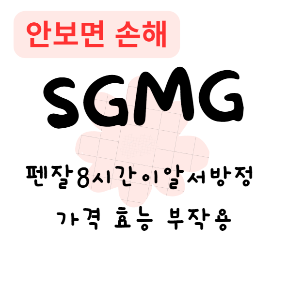 펜잘이알서방정 가격 효능 부작용(안보면 손해)