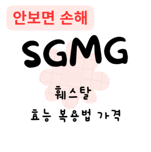 훼스탈 효능 복용법 가격(안보면 손해)