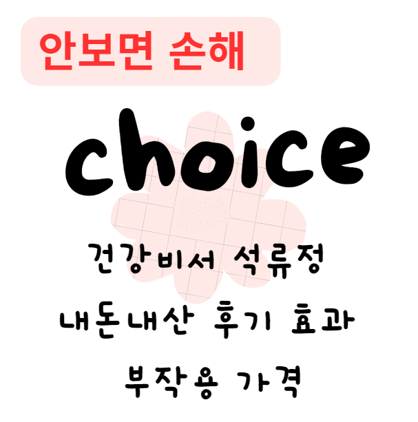 건강비서 석류정
