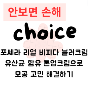 포쎄라 리얼 비피다 블러크림 유산균 함유 톤업크림으로 모공 고민 해결하기 포쎄라 리얼 비피다 블러크림 유산균 함유 톤업크림으로 모공 고민 해결하기