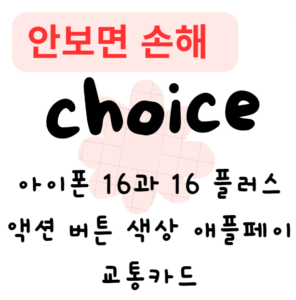 아이폰 16과 16 플러스 액션 버튼 색상 카메라컨트롤버튼 애플페이 교통카드